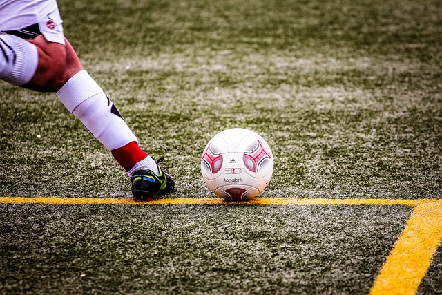 都为沙特提 都为沙特提