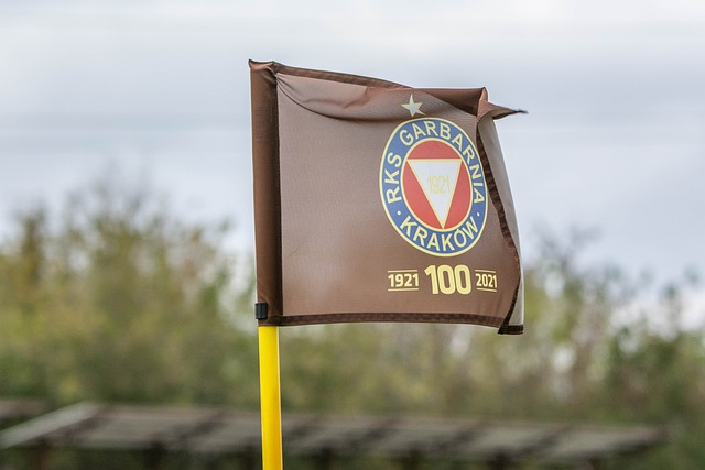 指的是通过 指的是通过