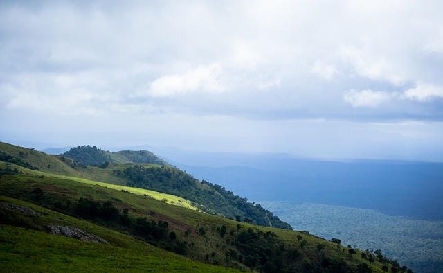 来更多的感 来更多的感