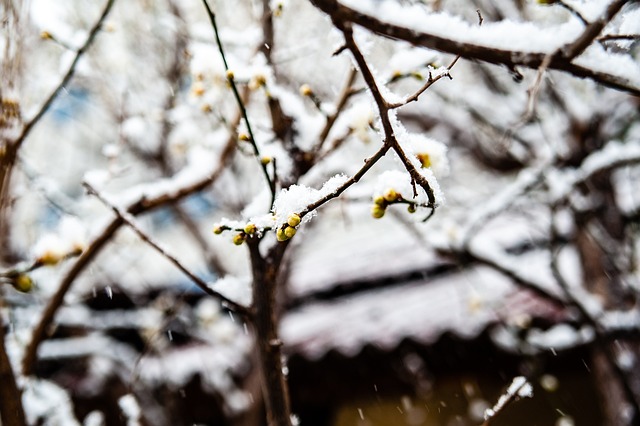 节的重视