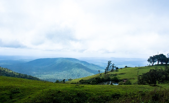 才能在更加 才能在更加