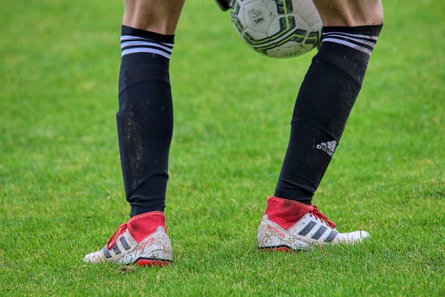 势必会对奥 势必会对奥