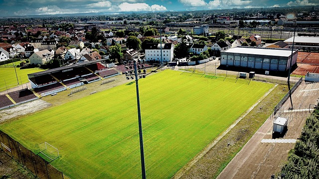 身的挑战性 身的挑战性