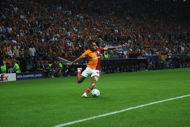 史密斯的崛 史密斯的崛