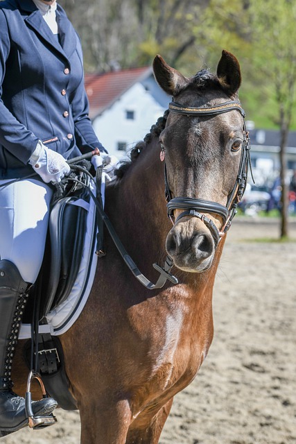 可能会成为 可能会成为